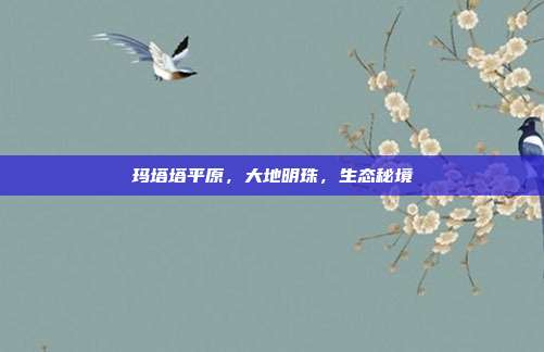 玛塔塔平原,大地明珠,生态秘境