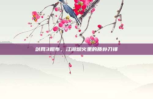 剑网3粗布,江湖烟火里的质朴刀锋