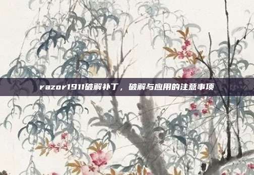 razor1911破解补丁,破解与应用的注意事项
