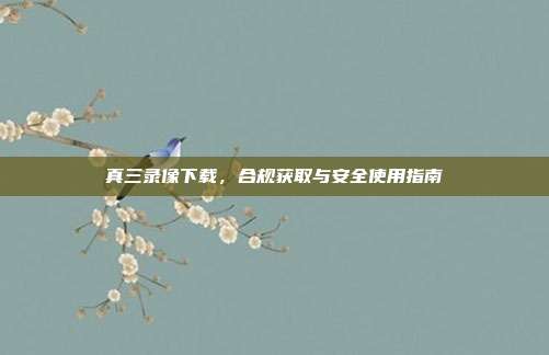 真三录像下载,合规获取与安全使用指南