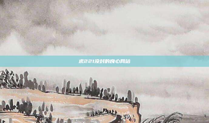 求221没封的良心网站