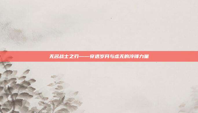 无名战士之刃——穿透岁月与虚无的冷锋力量