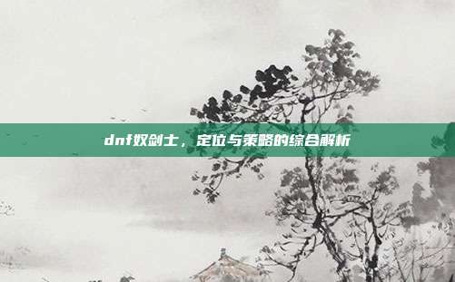 dnf奴剑士,定位与策略的综合解析