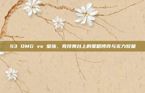 S3 OMG vs 皇族，竞技舞台上的策略博弈与实力较量