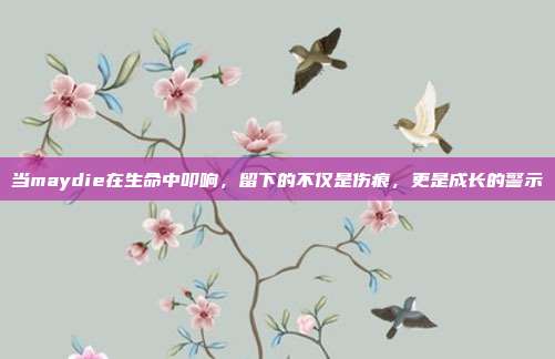 当maydie在生命中叩响,留下的不仅是伤痕,更是成长的警示