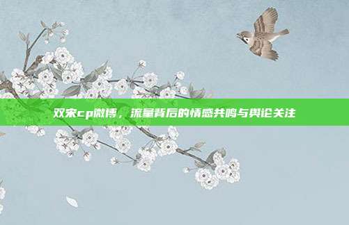 双宋cp微博,流量背后的情感共鸣与舆论关注