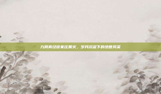 九阴真经徐家庄篝火,岁月沉淀下的绝世风采