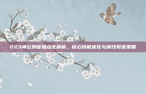 223神泣刺客加点全解析，核心技能优化与属性取舍策略