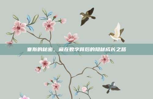 塞斯的秘密,藏在数字背后的隐秘成长之路