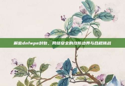 解密dnfwpe封包，网络安全的攻防边界与合规挑战