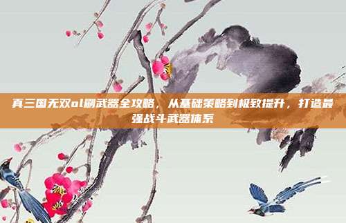 真三国无双ol刷武器全攻略,从基础策略到极致提升,打造最强战斗武器体系