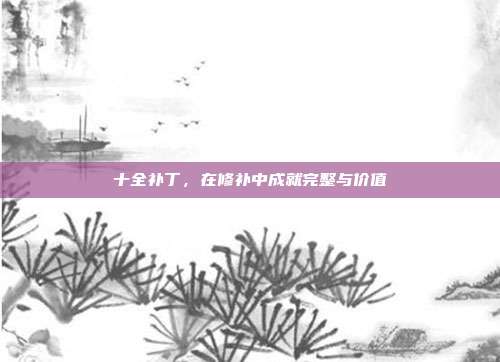 十全补丁，在修补中成就完整与价值