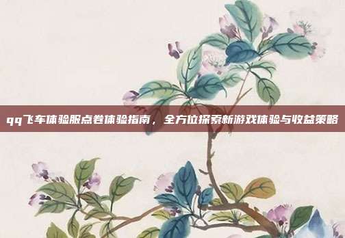 qq飞车体验服点卷体验指南,全方位探索新游戏体验与收益策略