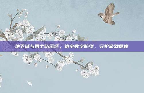 地下城与勇士防沉迷,筑牢数字防线,守护游戏健康