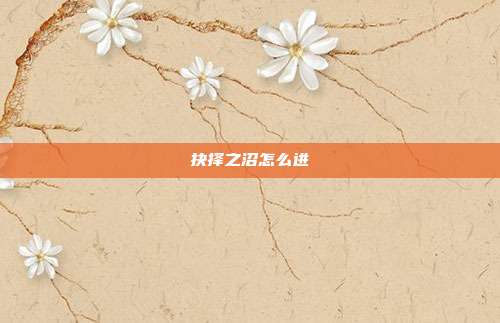 抉择之沼怎么进