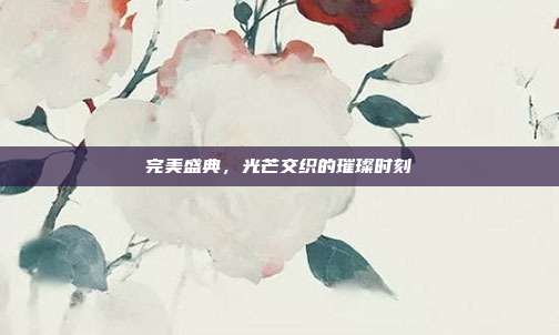 完美盛典，光芒交织的璀璨时刻