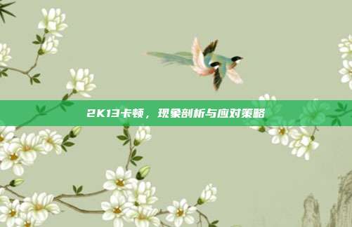 2K13卡顿,现象剖析与应对策略