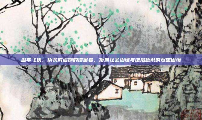 盗车飞侠，伪装成追捕的侵害者，折射社会治理与法治意识的双重困境