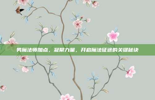 男魔法师加点，凝聚力量，开启魔法征途的关键秘诀