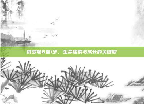 俄罗斯6至1岁,生命探索与成长的关键期