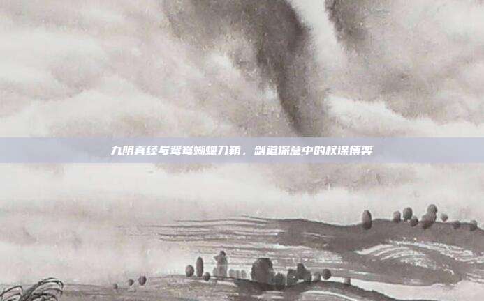 九阴真经与鸳鸯蝴蝶刀鞘，剑道深意中的权谋博弈