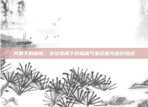 风暴下的越南，全球视角下的极端气象危机与应对挑战