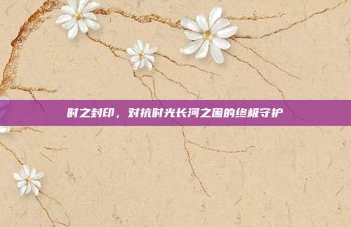 时之封印,对抗时光长河之困的终极守护