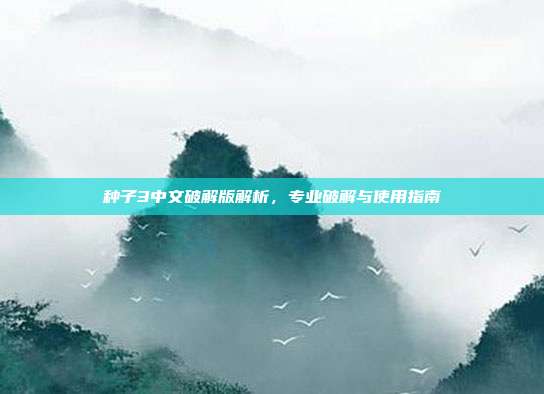 种子3中文破解版解析，专业破解与使用指南