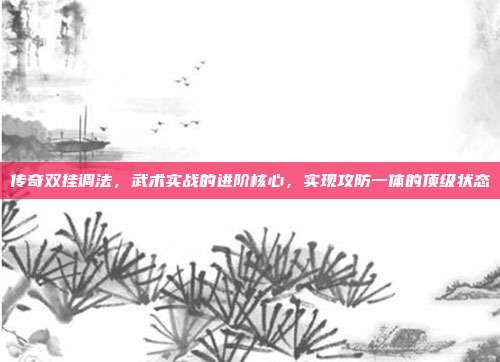 传奇双挂调法,武术实战的进阶核心,实现攻防一体的顶级状态