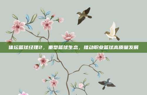 体坛篮球经理2,重塑篮球生态,推动职业篮球高质量发展