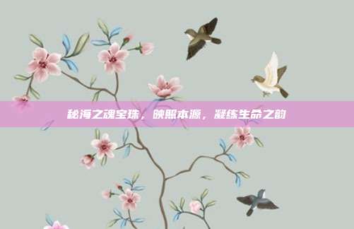 秘海之魂宝珠,映照本源,凝练生命之韵