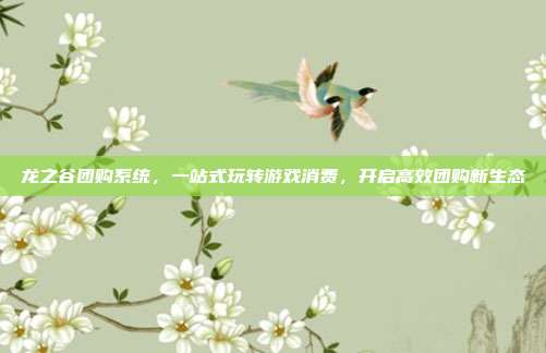 龙之谷团购系统，一站式玩转游戏消费，开启高效团购新生态