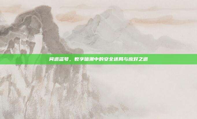问道盗号，数字暗潮中的安全迷局与应对之道