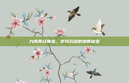 九阴真经黄金,岁月沉淀的绝世秘宝