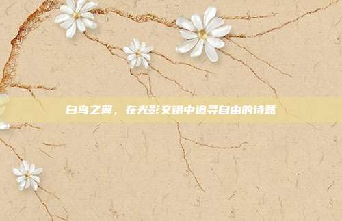 白鸟之翼，在光影交错中追寻自由的诗意