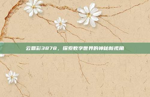 云鼎彩3878,探索数字世界的神秘新视角