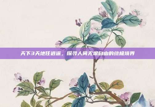 天下3天地任逍遥，探寻人间无垠自由的终极境界
