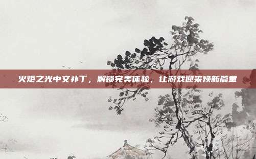 火炬之光中文补丁，解锁完美体验，让游戏迎来焕新篇章