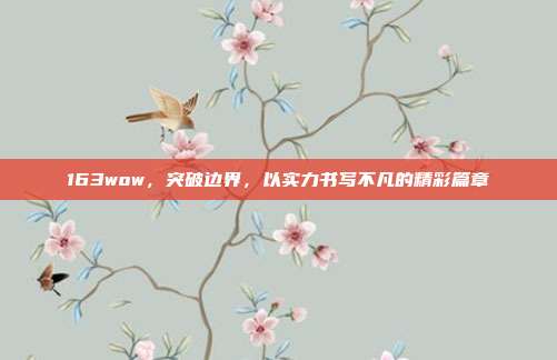 163wow，突破边界，以实力书写不凡的精彩篇章