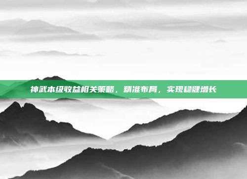 神武本级收益相关策略,精准布局,实现稳健增长