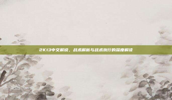 2K13中文解说,战术解析与战术执行的深度解读
