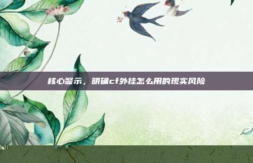 核心警示,明确cf外挂怎么用的现实风险