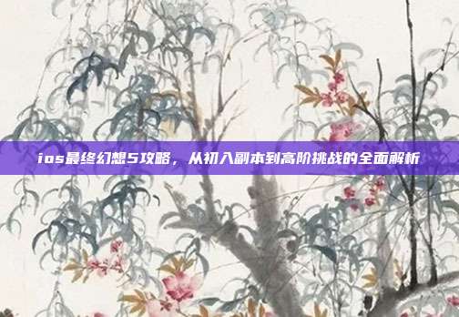 ios最终幻想5攻略，从初入副本到高阶挑战的全面解析