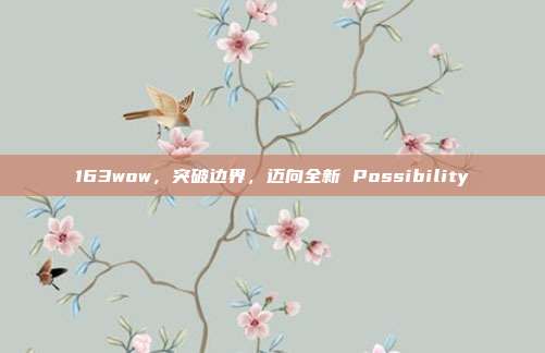163wow,突破边界,迈向全新 Possibility