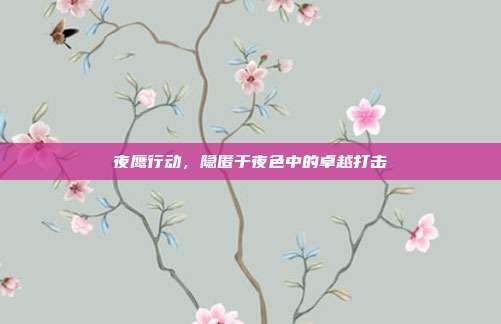夜鹰行动，隐匿于夜色中的卓越打击