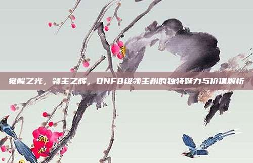觉醒之光,领主之辉,DNF8级领主粉的独特魅力与价值解析