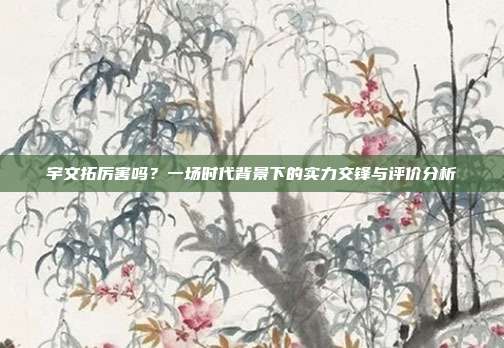宇文拓厉害吗?一场时代背景下的实力交锋与评价分析