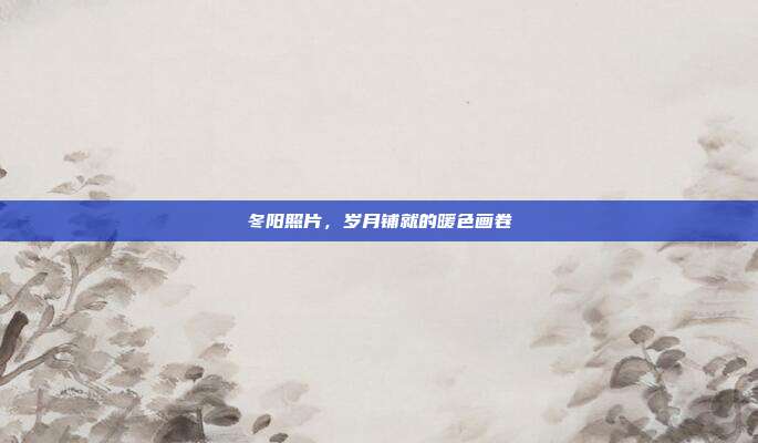 冬阳照片，岁月铺就的暖色画卷