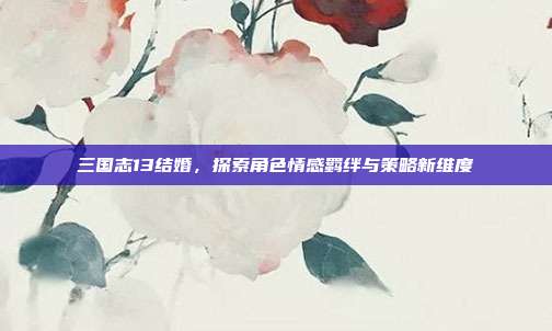 三国志13结婚,探索角色情感羁绊与策略新维度