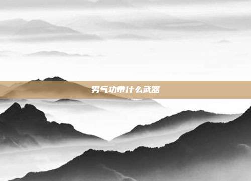 男气功带什么武器